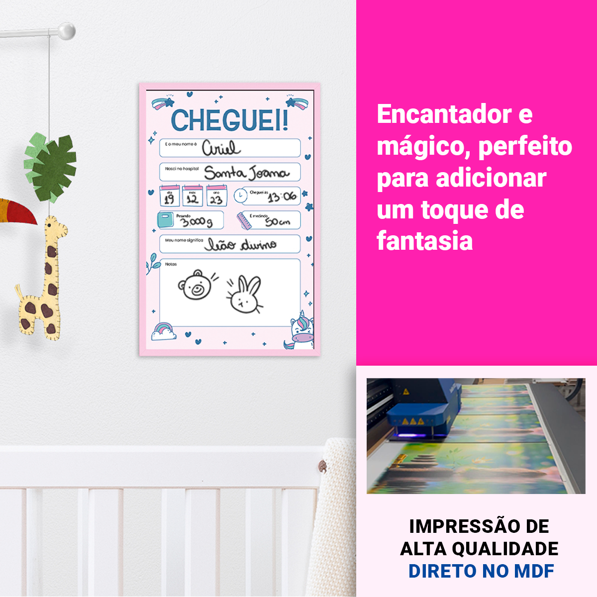 Rosa-020-030